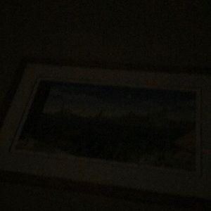 Meet your Posher, Jane